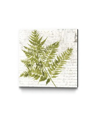 Giant Art Fern I Museum Mounted Canvas Print In Green