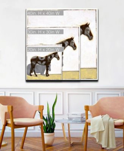 Ready2hangart Equestrian Pinto Horse Canvas Wall Art Collection In Multi
