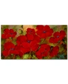 TRADEMARK GLOBAL POPPIES BY RIO CANVAS PRINT