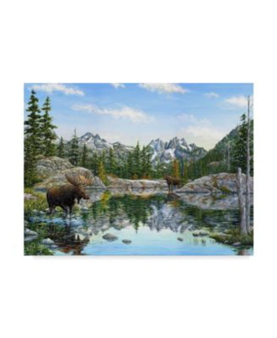 Trademark Global Jeff Tift Moose Canvas Art In Multi