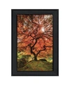 TRENDY DECOR 4U FIRST COLORS OF FALL II BY MOISES LEVY READY TO HANG FRAMED PRINT COLLECTION