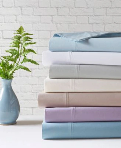 Madison Park Peached Cotton Percale Sheet Sets Bedding In Purple