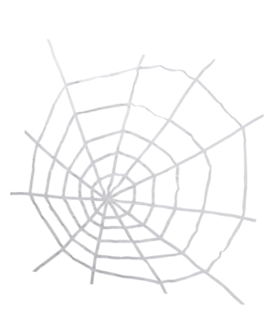 Northlight Spooky Spider Web Halloween Hanging Decoration, 80" In White