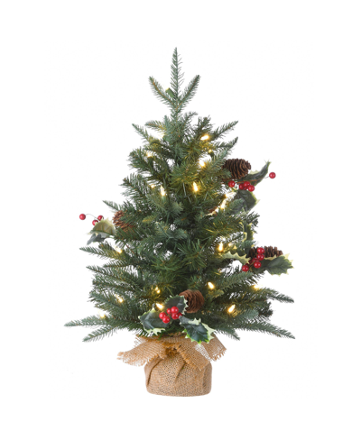 National Tree Company 2' Happy Hill Pine Tree With Led Lights In Green