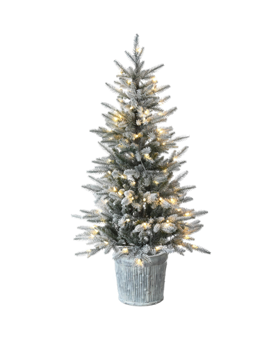 National Tree Company 4.5' Snowy Alpine Fir Entrance Tree With Led Lights In Green