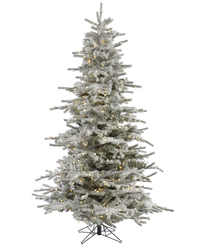 Vickerman 6.5' Flocked Sierra Fir Artificial Christmas Tree With 550 Warm White Led Lights
