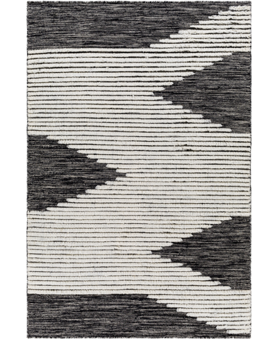 Surya Apache Apa-2311 6" X 9' Area Rug In Black