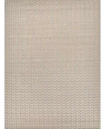 Exquisite Rugs Monroe Er3961 Area Rug In Beige
