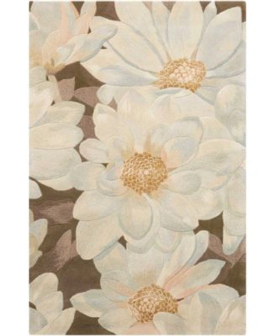 Nourison Tropics Ts13 Mocha Rug