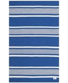 Ralph Lauren Hanover Stripe Lrl2461c Blue Outdoor Area Rug Collection In Blue