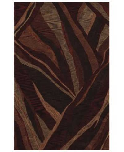 D Style Studio Sd16 Area Rug In Canyon
