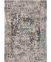Spring Valley Home Places Plc 03 Area Rug In Charcoal