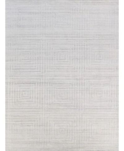 Exquisite Rugs Strava S4979 Area Rug In Silver-tone