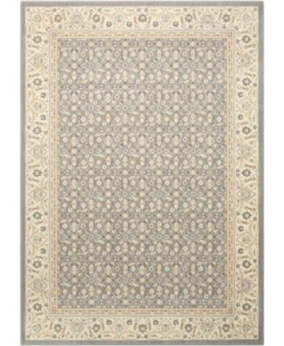 Nourison Persian Empire Pe26 Silver Rug