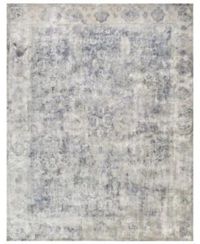 Exquisite Rugs Pietro P4902 Area Rug In Silver-tone