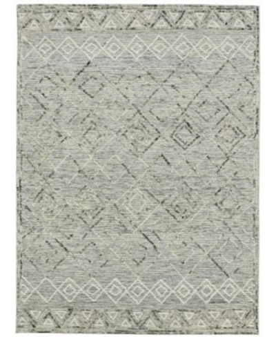 AMER RUGS BERLIN PARSALL AREA RUG