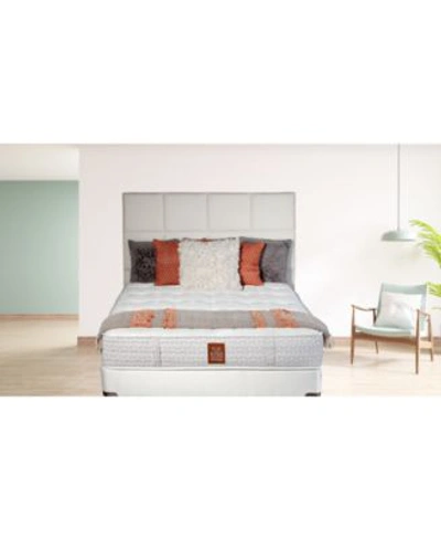 Paramount Joma Luxury Rylie 15 Cushion Firm Mattress Collection