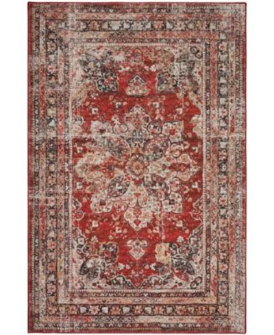 D Style Basilic Bas6 Area Rug In Multi