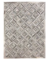Exquisite Rugs Biota B4361 Area Rug In Silver-tone