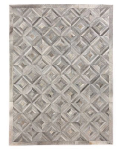 Exquisite Rugs Biota B4361 Area Rug In Silver-tone