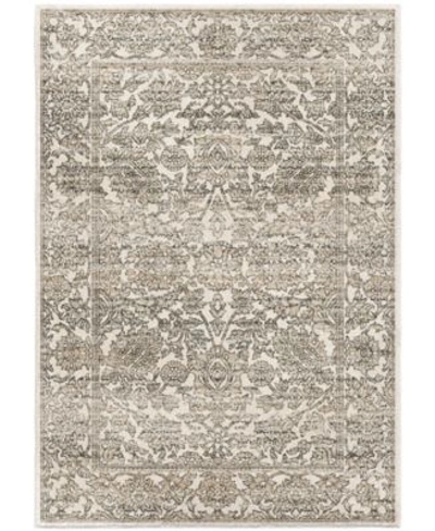 Palmetto Living Riverstone Persian Tonal Light Gray Area Rug Collection In Bge