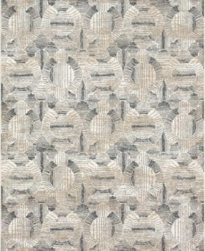 Drew & Jonathan Home Drew Jonathan Home Vanguard Valiant Area Rug In Silver-tone