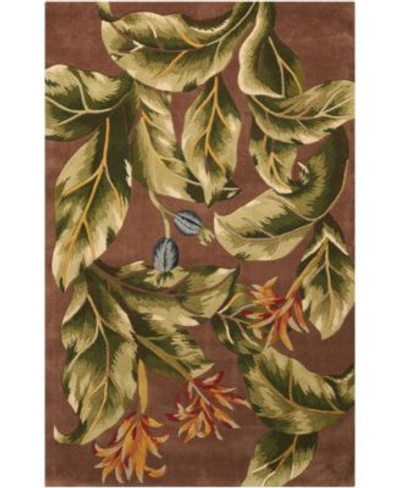 Nourison Tropics Ts02 Brown Rug