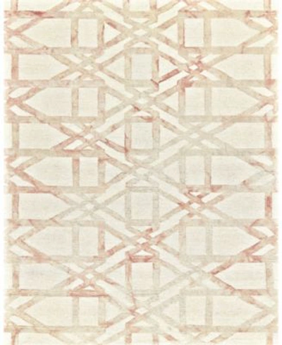 Simply Woven Rosa R8571 Rose Area Rug In Blush