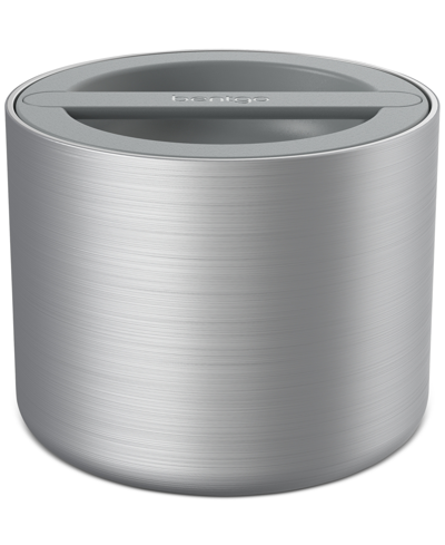 Bentgo Stainless Steel Insulated Food Container