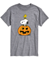 Airwaves Men's Peanuts Snoopy Pumpkin T-shirt In Gray