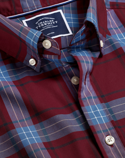 Charles Tyrwhitt Button-down Collar Non-iron Stretch Poplin Large Winter Check Cotton Casual Shirt In Red