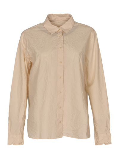 Casey Casey Classic Plain Shirt In Natural