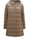 Geox Velvet-effect Padded Jacket In 褐色