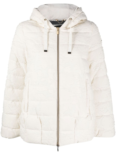 Geox Padded Zip-up Jacket In 中性色