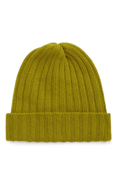 The Elder Statesman Ranger Ribbed Cashmere Beanie In Snap Pea