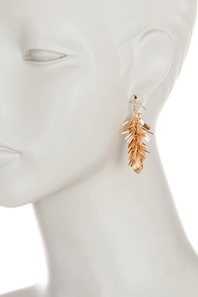 Olivia Welles Skyla Cluster Earrings In Gold