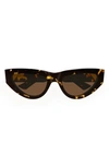 Bottega Veneta 55mm Cat Eye Sunglasses In Brown