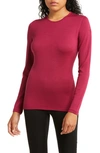 Icebreaker 260 Tech Long Sleeve Crewneck T-shirt In Cherry