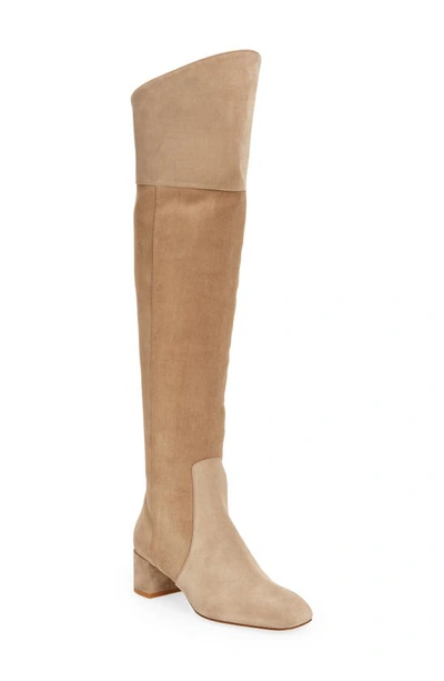 Aeyde Letizia Over The Knee Boot In Stone