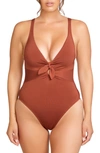 Robin Piccone Ava Plunge Underwire One-piece Swimsuit In Sepia