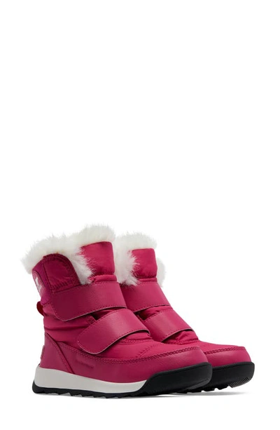 Sorel Kids' Unisex Whitney Ii Waterproof Cold Weather Boots - Walker In Cactus Pink/black