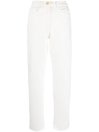 Elisabetta Franchi High-waisted Straight Trousers In Nude