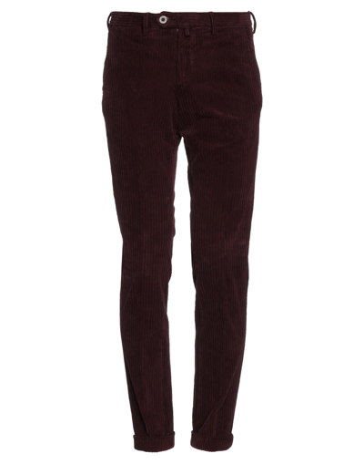 B Settecento Pants In Cocoa