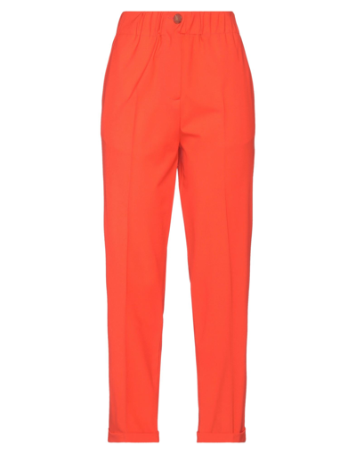 Alysi Pants In Red