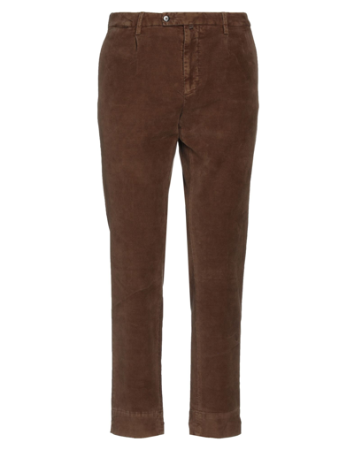 Berna Pants In Brown