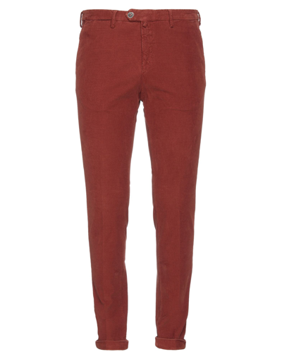 B Settecento Man Pants Brick Red Size 30 Cotton, Elastane