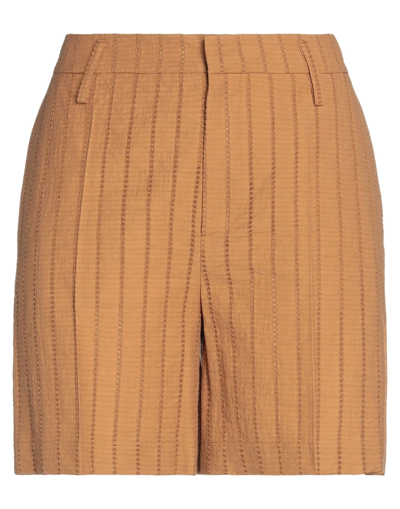 Alysi Woman Shorts & Bermuda Shorts Brown Size 4 Cotton, Polyester
