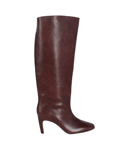 Mychalom Knee Boots In Brown