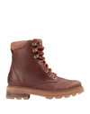 Sorel Ankle Boots In Brown