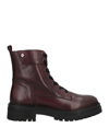 Geox Ankle Boots In Maroon